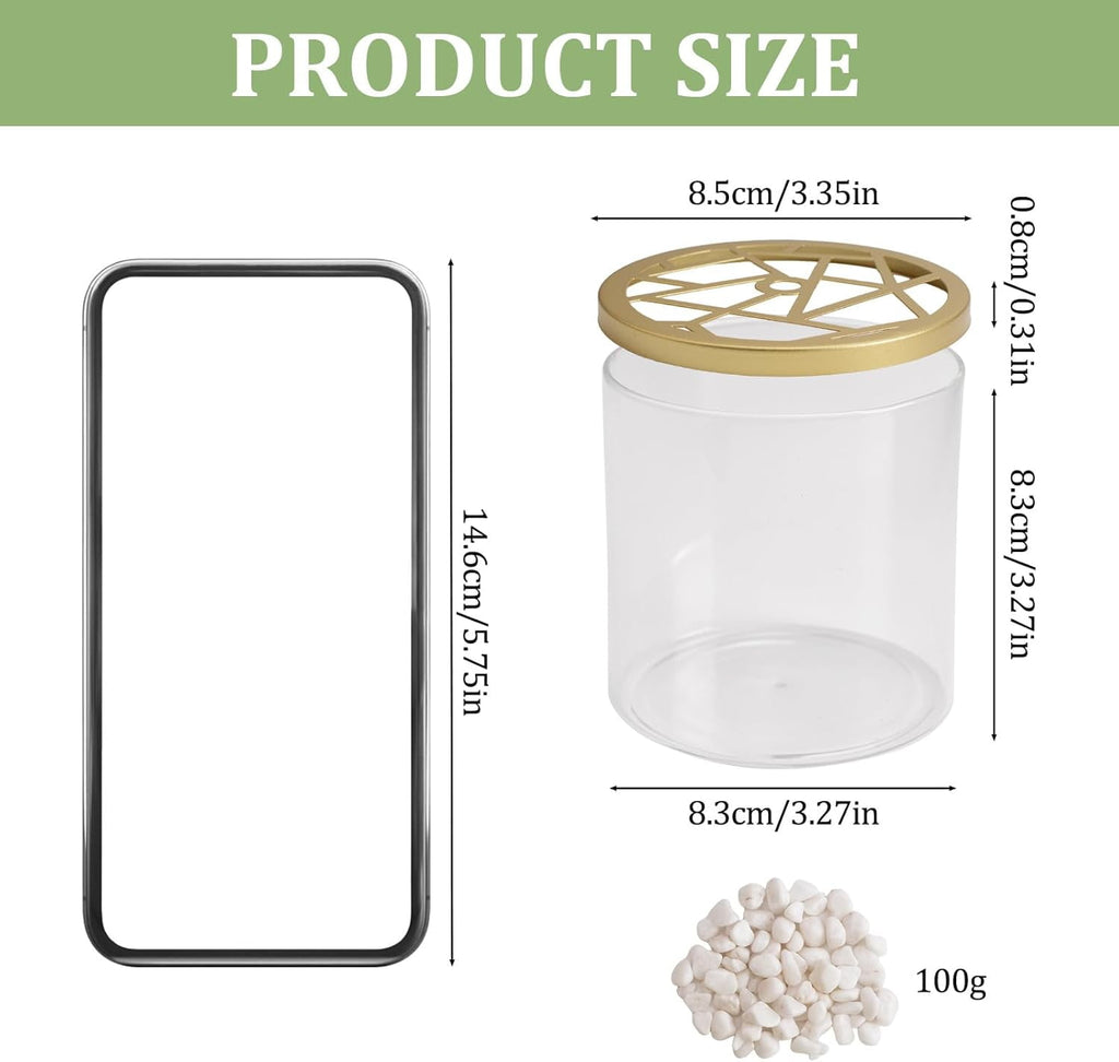 Set of Glass Flower Vase with Decoration Stones, Flower Arranging Supplies Clear Glass Modern Flower Vase with Cover for Office Home Decoration