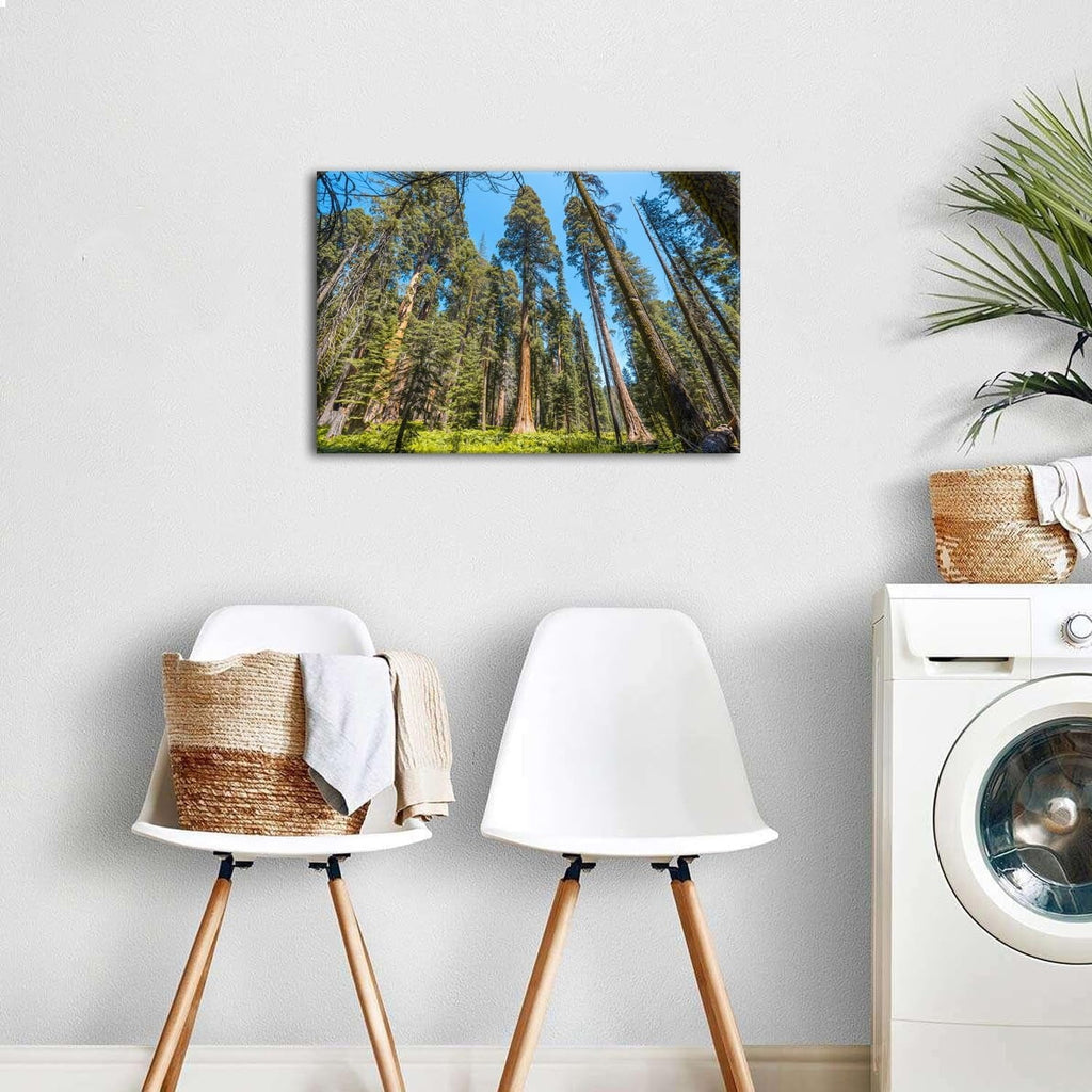 Wildflower Wall Art Colorful Floral Pictures Framed Printed Art for Bathroom Nature Botanical Canvas Prints Poster Modern Abstract Flowers Painting Artwork Living Room Bedroom Home Decorations