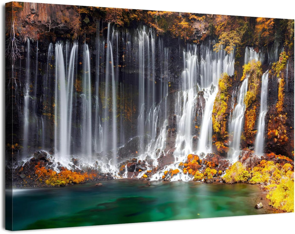 Wildflower Wall Art Colorful Floral Pictures Framed Printed Art for Bathroom Nature Botanical Canvas Prints Poster Modern Abstract Flowers Painting Artwork Living Room Bedroom Home Decorations