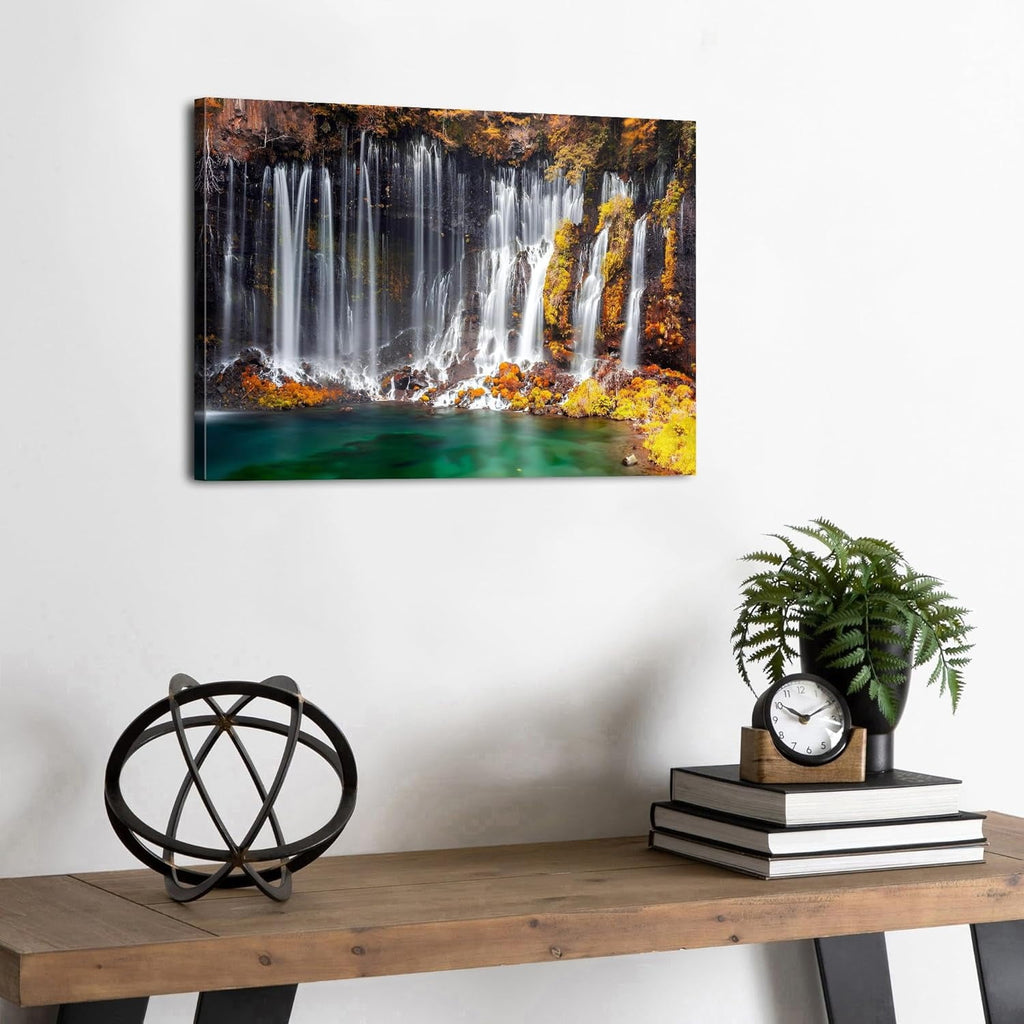 Wildflower Wall Art Colorful Floral Pictures Framed Printed Art for Bathroom Nature Botanical Canvas Prints Poster Modern Abstract Flowers Painting Artwork Living Room Bedroom Home Decorations