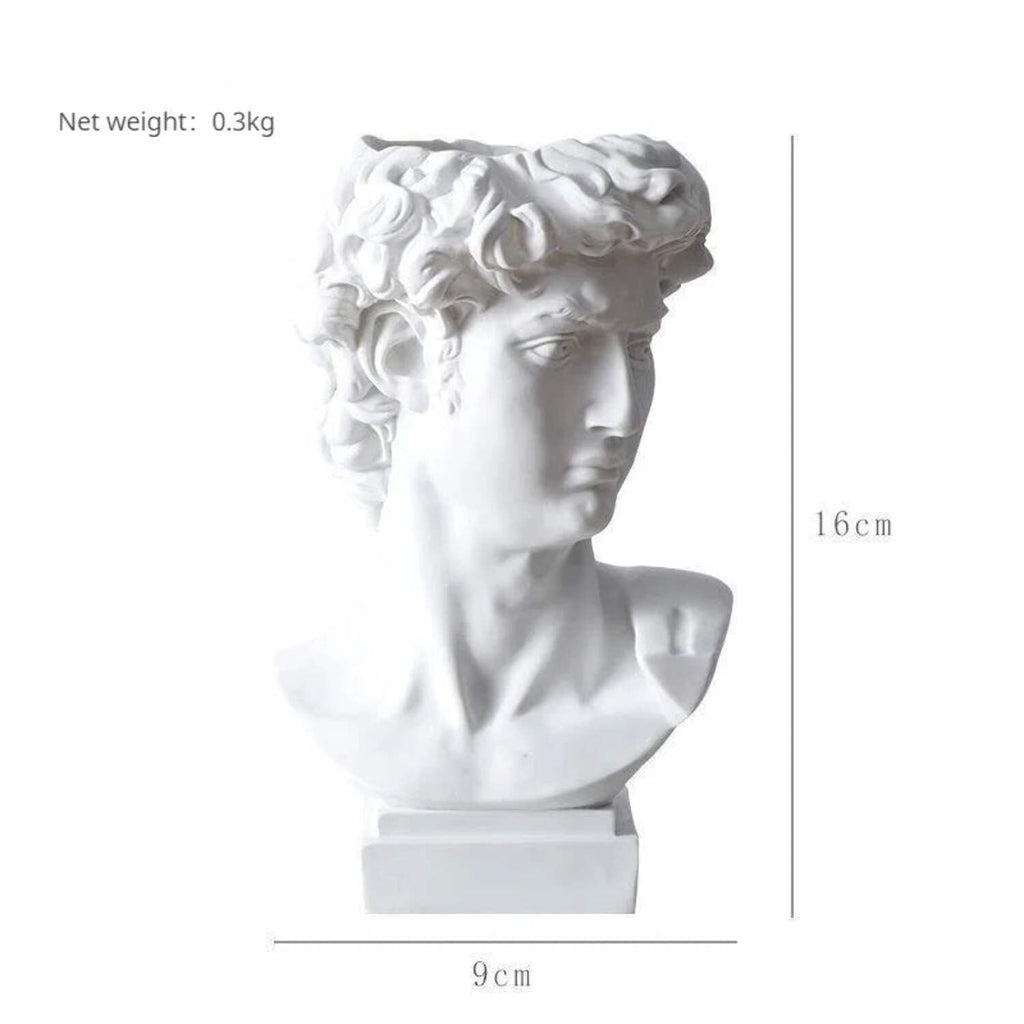 David Head Flower Pot Vase Roman Style Face Planter for Garden Home Office Decor (Large)