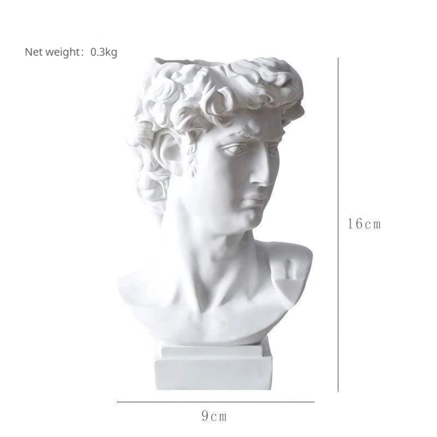 David Head Flower Pot Vase Roman Style Face Planter for Garden Home Office Decor (Large)