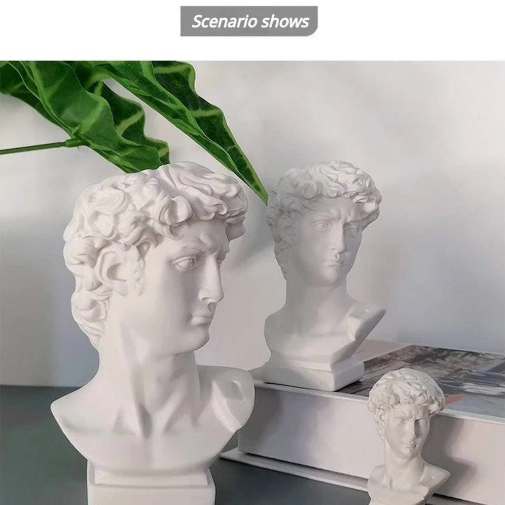 David Head Flower Pot Vase Roman Style Face Planter for Garden Home Office Decor (Large)