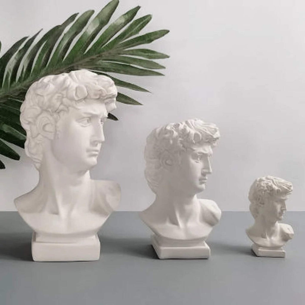 David Head Flower Pot Vase Roman Style Face Planter for Garden Home Office Decor (Large)