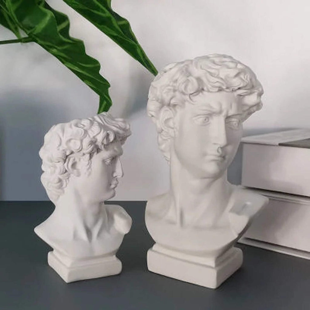 David Head Flower Pot Vase Roman Style Face Planter for Garden Home Office Decor (Large)