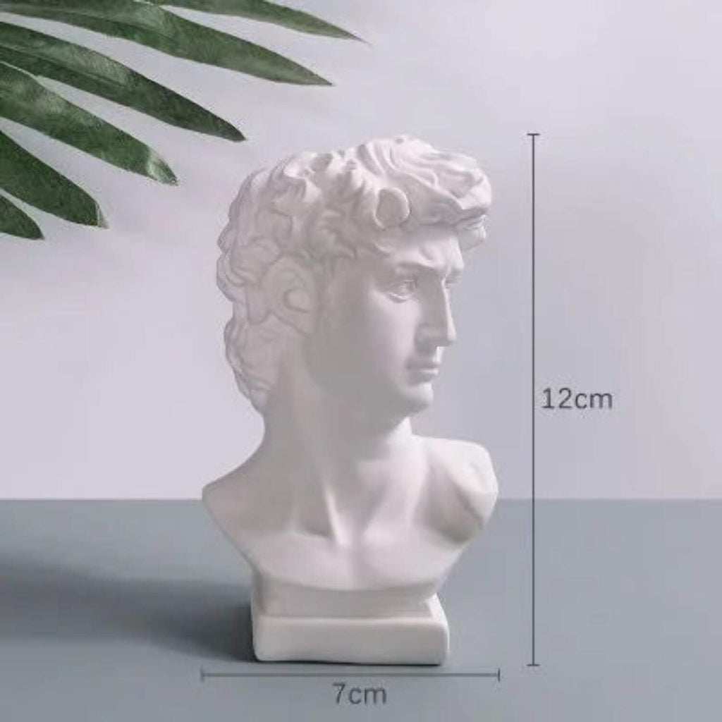 David Head Flower Pot Vase Roman Style Face Planter for Garden Home Office Decor (Large)