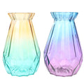 2pcs Assorted Vase for Flowers and Plants Creative Design for Home Decor and Storage