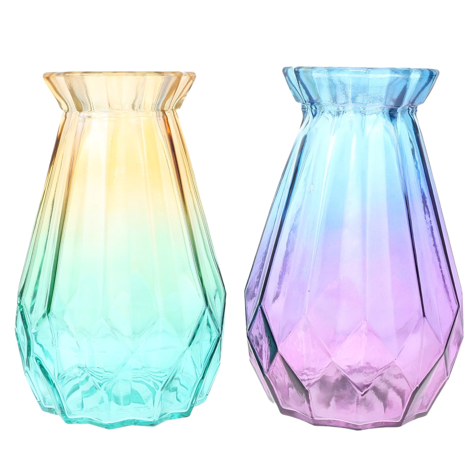 2pcs Assorted Vase for Flowers and Plants Creative Design for Home Decor and Storage