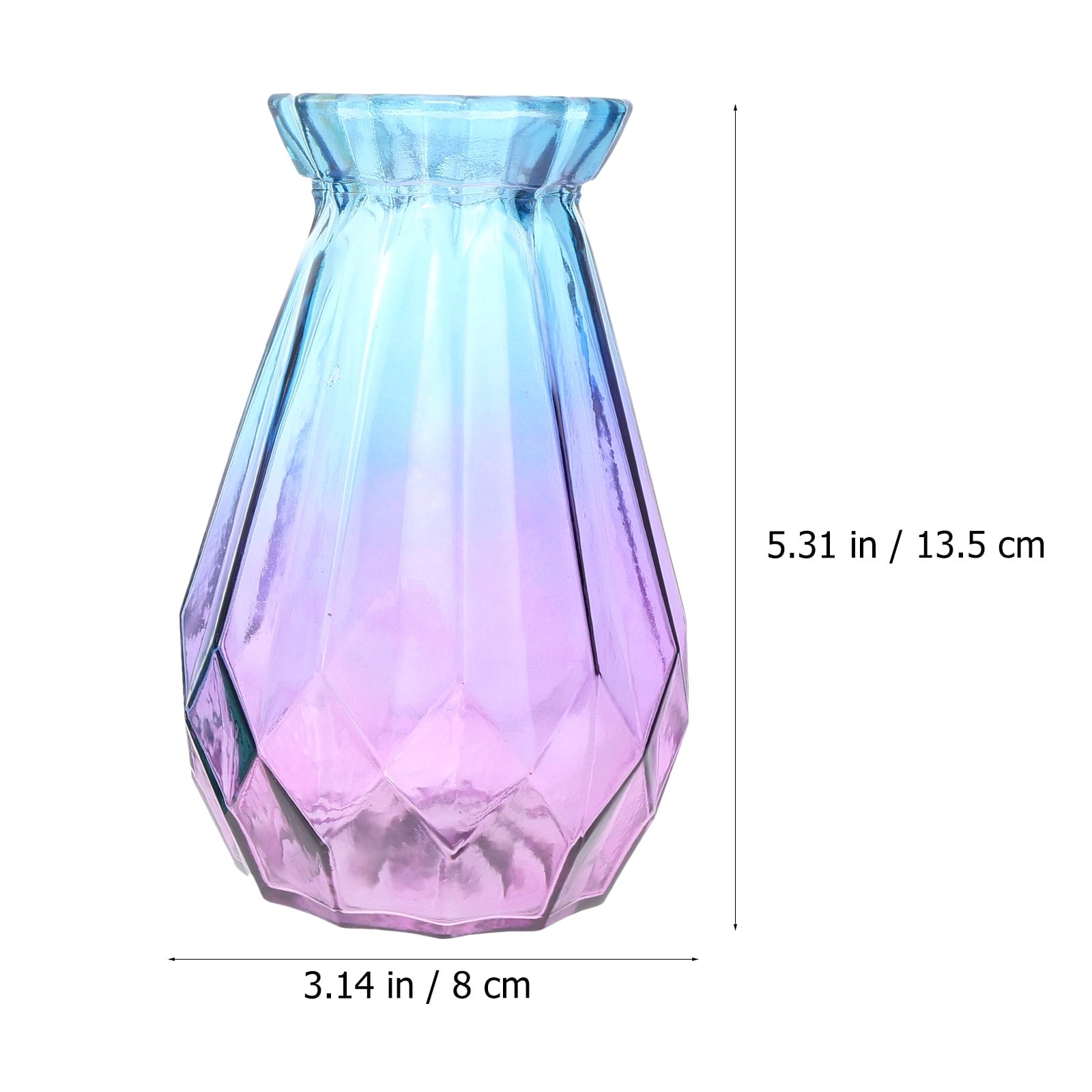 2pcs Assorted Vase for Flowers and Plants Creative Design for Home Decor and Storage