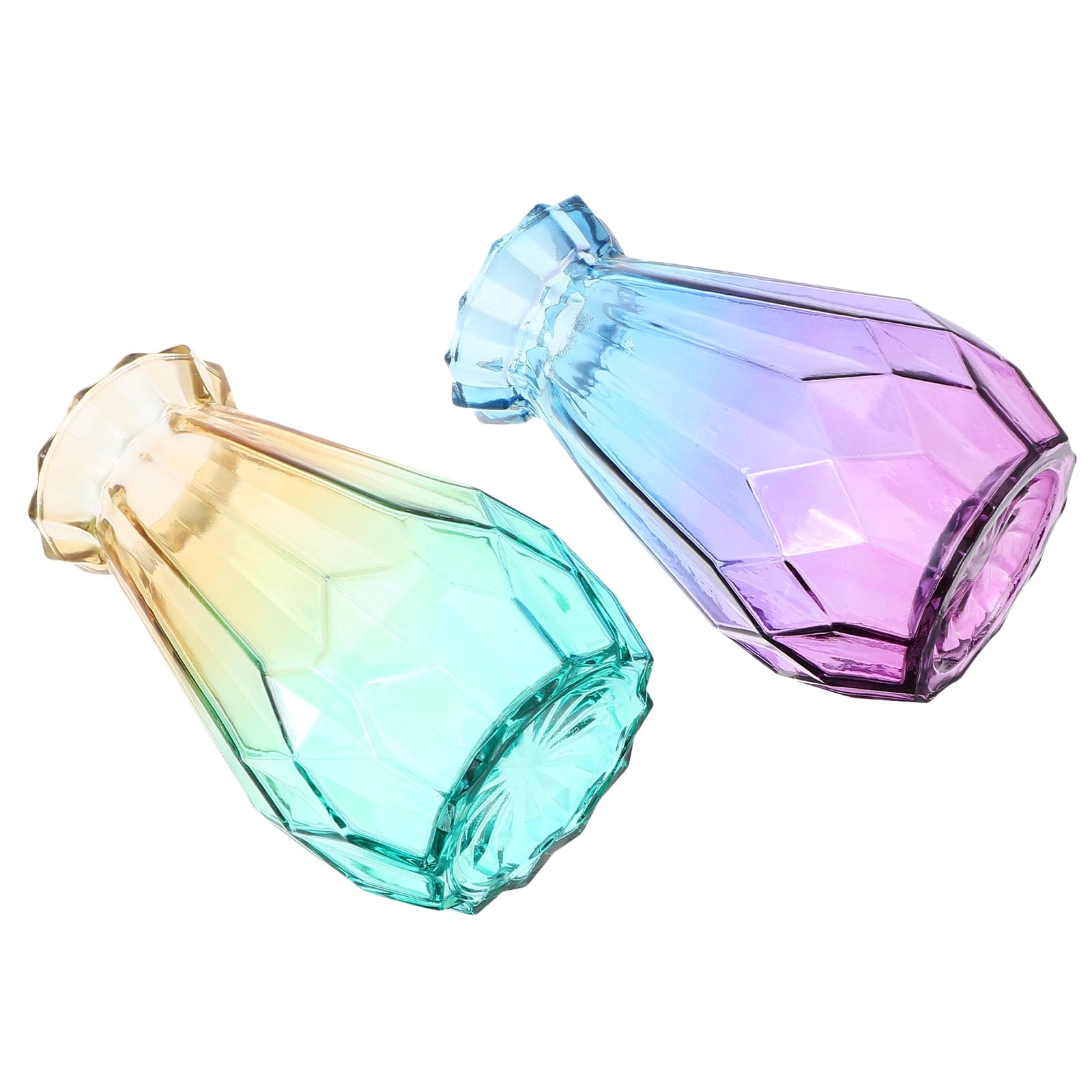 2pcs Assorted Vase for Flowers and Plants Creative Design for Home Decor and Storage