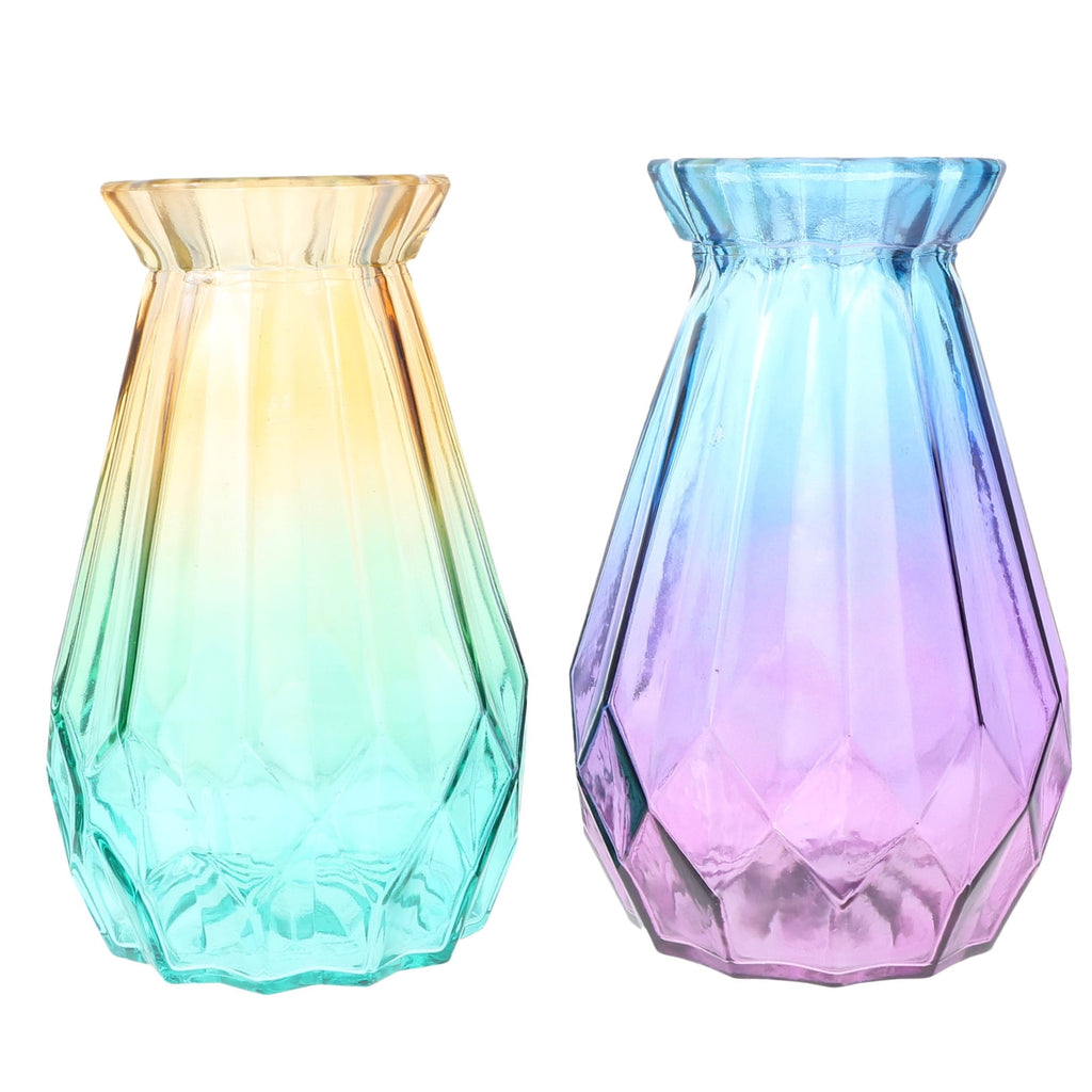 2pcs Assorted Vase for Flowers and Plants Creative Design for Home Decor and Storage