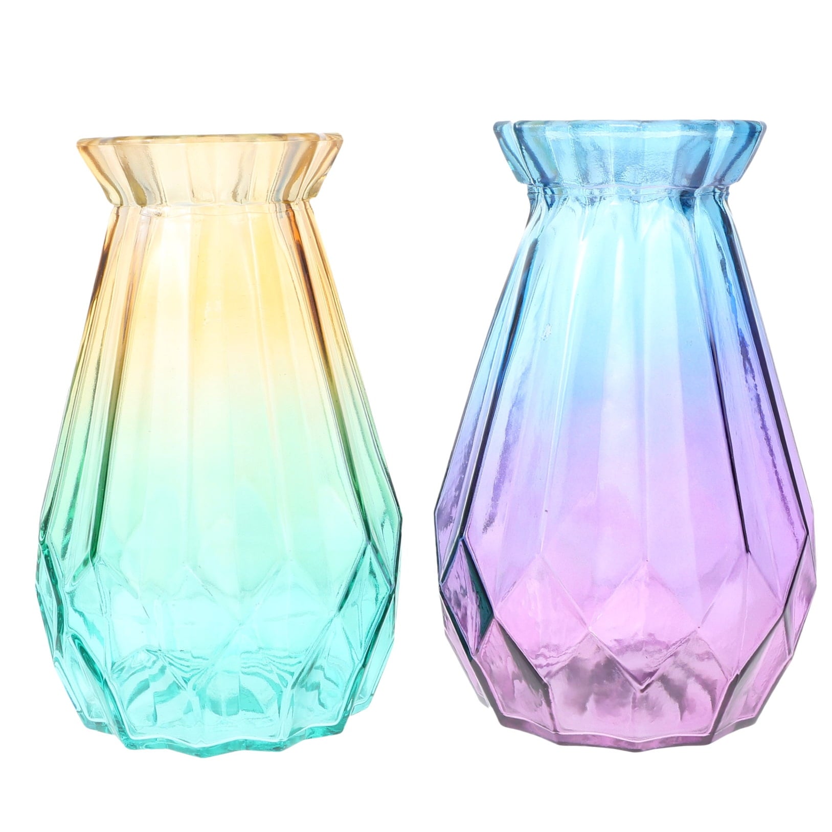 2pcs Assorted Vase for Flowers and Plants Creative Design for Home Decor and Storage