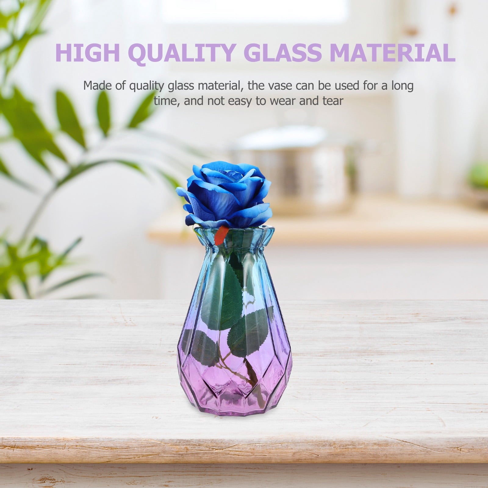 2pcs Assorted Vase for Flowers and Plants Creative Design for Home Decor and Storage