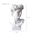 David Head Flower Pot Vase Roman Style Face Planter for Garden Home Office Decor (Large)